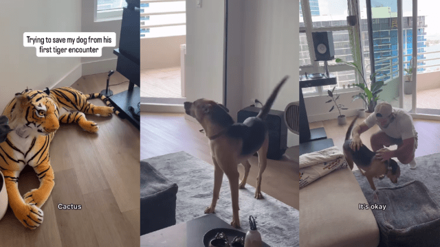 Yahoo lifestyle home