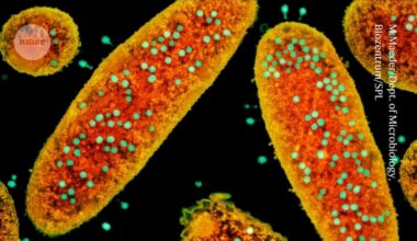 ‘Treasure trove’ of antiviral proteins could inspire powerful molecular tools