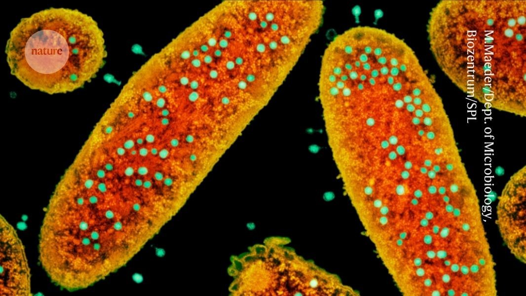 ‘Treasure trove’ of antiviral proteins could inspire powerful molecular tools