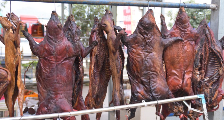 Dried carcasses of hog badger and leopard cat hanging from a railing at a Chinese wildlife market.