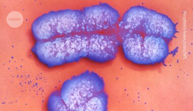 how X affects your health