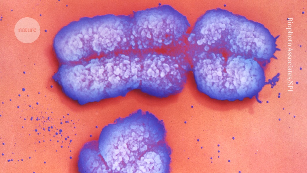 how X affects your health