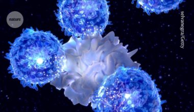 eating primes immune cells for action