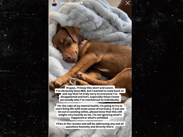 Amanda Batula Posts Statement instagram 2