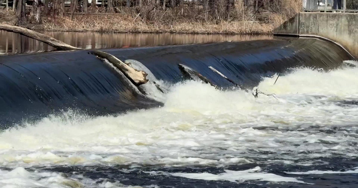 Advocates push for removal of "defunct" Charles River dams that pose flood risk, disrupt ecosystems