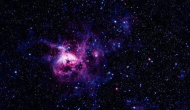 Dark Matter Space