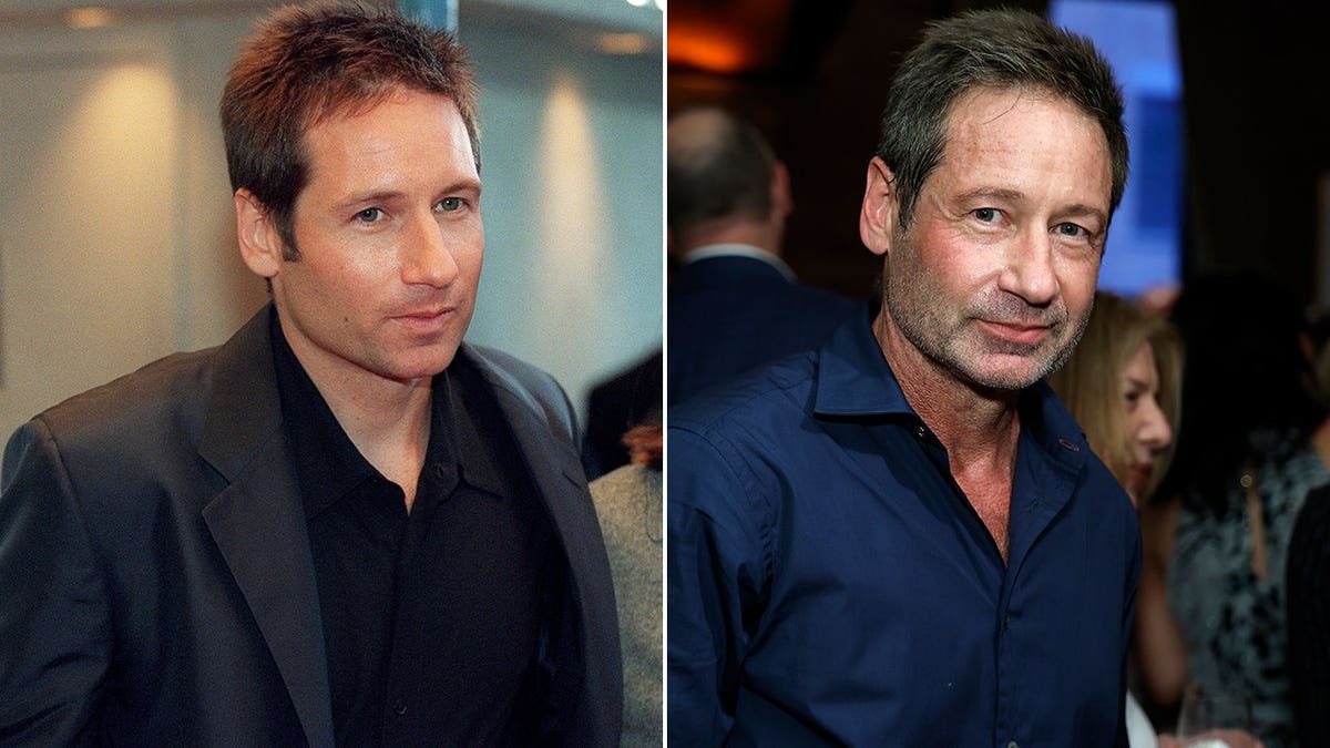 Split of David Duchovny in the '90s and now