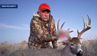 Lodi man killed by elephants during hunting trip in Africa