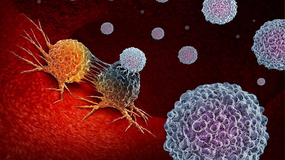 Cancer cells have an Achilles heel, they can be starved to death