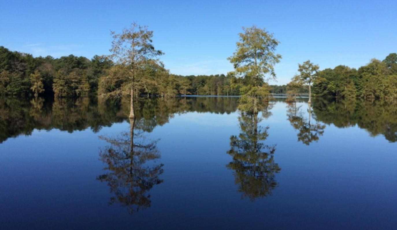 Delaware lawmakers protect nontidal wetlands
