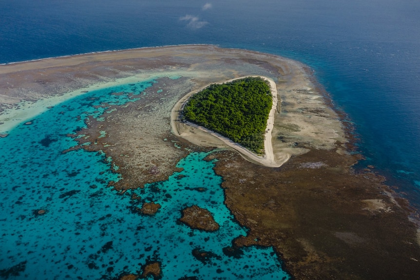 A small coral cay island surrounded by reef and blue water