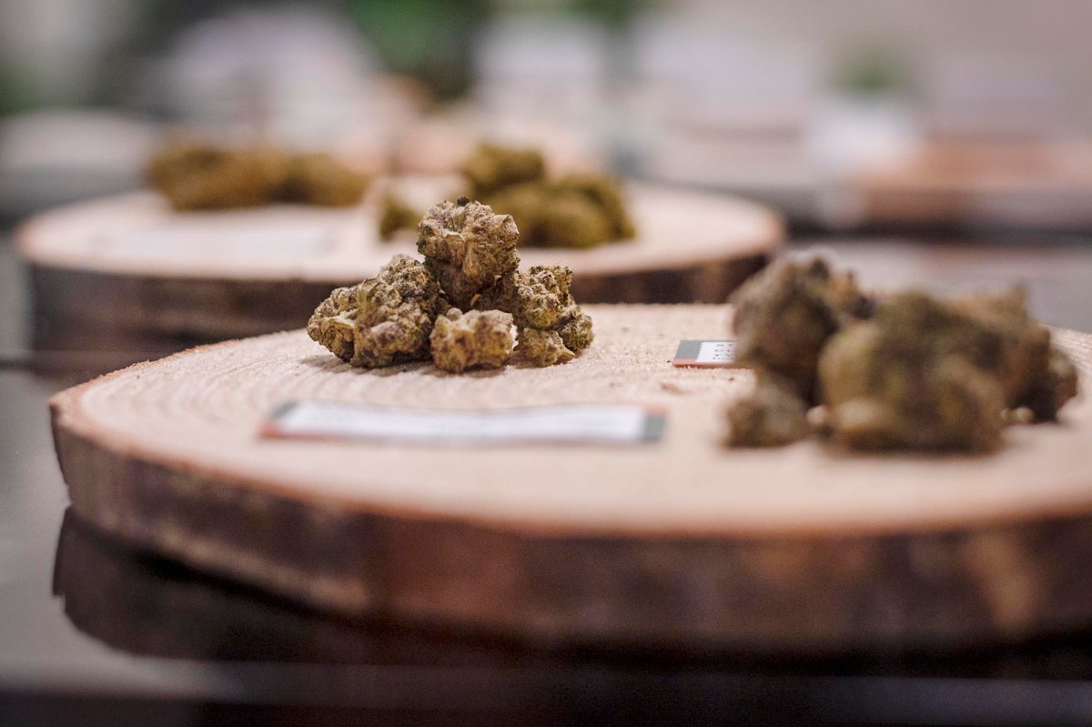 Several clusters of cannabis buds are displayed on round wooden slabs, with small labels placed nearby on a dark surface.
