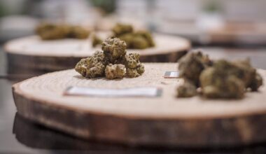 Federal reclassification of marijuana could ‘turbocharge’ Vermont’s medical market