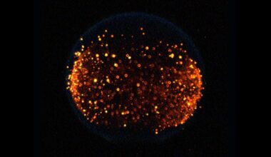 NASA Plans to Start a Fire on the Moon in First-of-Its-Kind Experiment