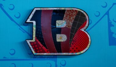 Bengals draft grades Reacts survey: Grading the full 2026 class - Cincy Jungle