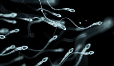 The impact of stress on sperm health