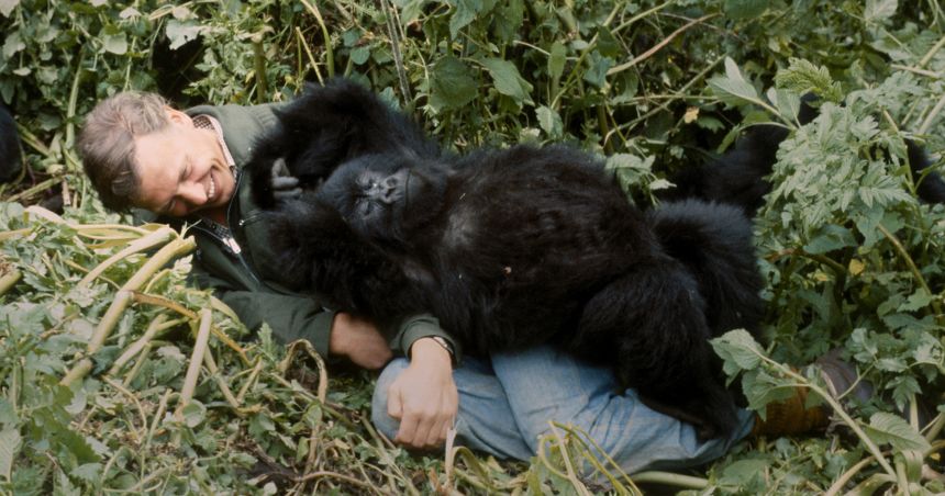 Pablo (pictured) unexpectedly laid on top of David Attenborough while filming his 