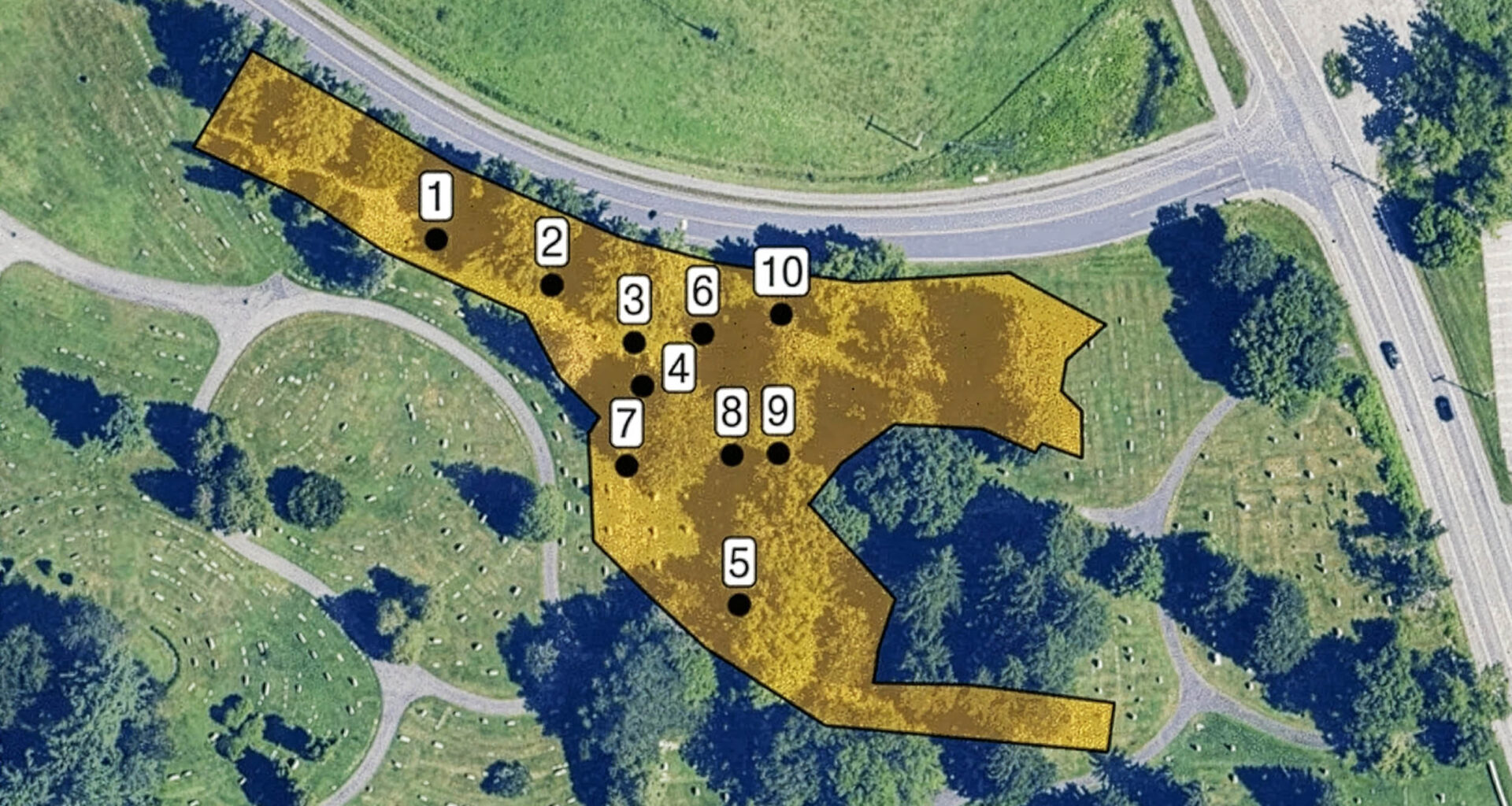 Underground colony contains millions of ground-nesting bees
