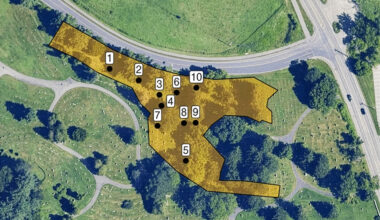 Underground colony contains millions of ground-nesting bees