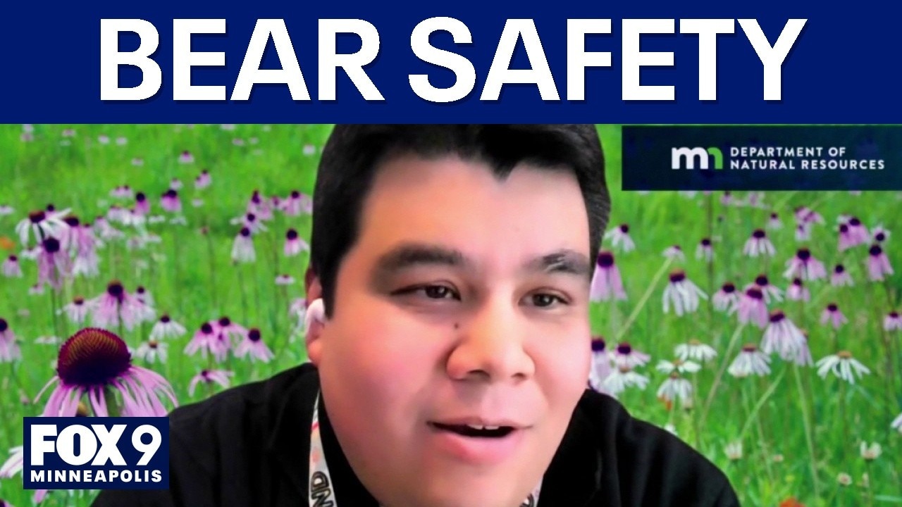 Avoiding bears in the wild: DNR expert shares safety tips