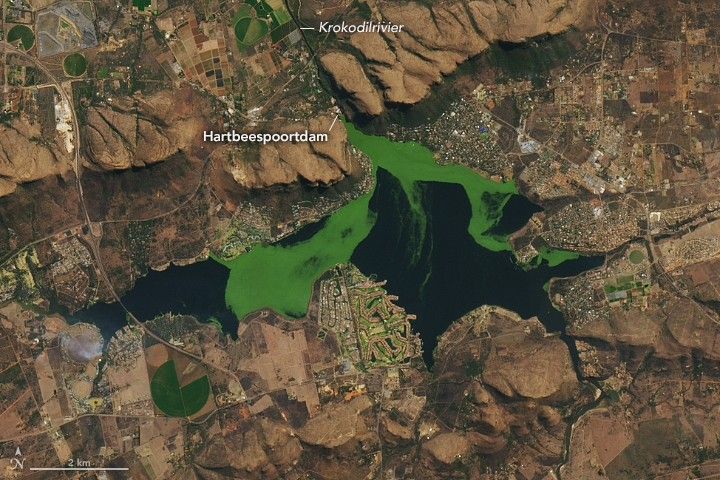 Hartbeesdam Oli2 20220810