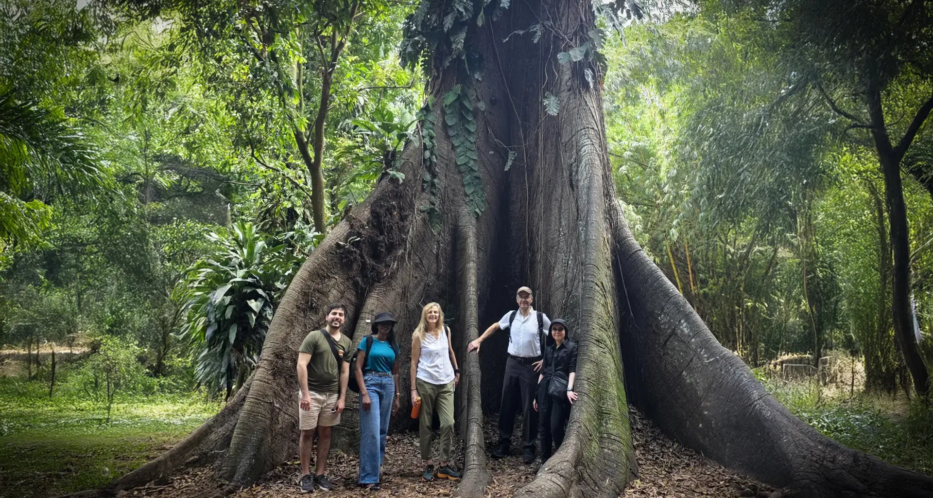 Africa’s forests have flipped from carbon sink to carbon source