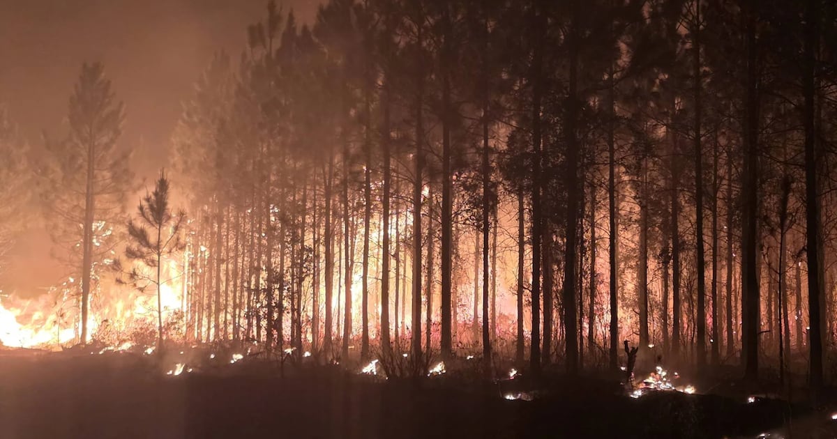 by-County | Live updates on Northeast Florida, Southeast Georgia wildfires – Action News Jax