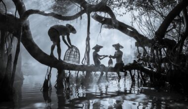 Sony World Photography Award 2026 Winners