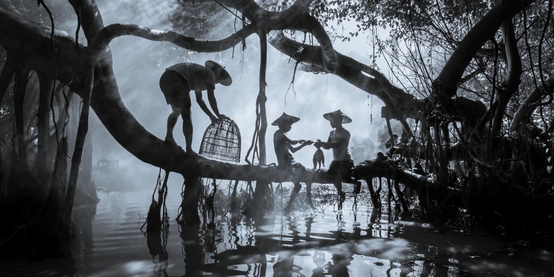 Sony World Photography Award 2026 Winners