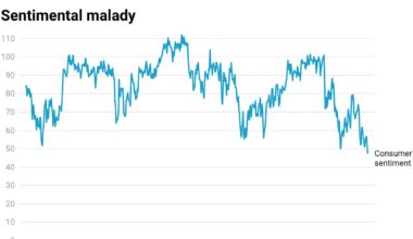 Lies, Damned Lies and Economic Vibes