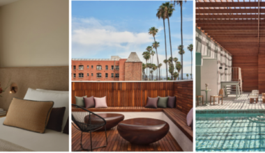 The Ivory Debuts in Koreatown | News