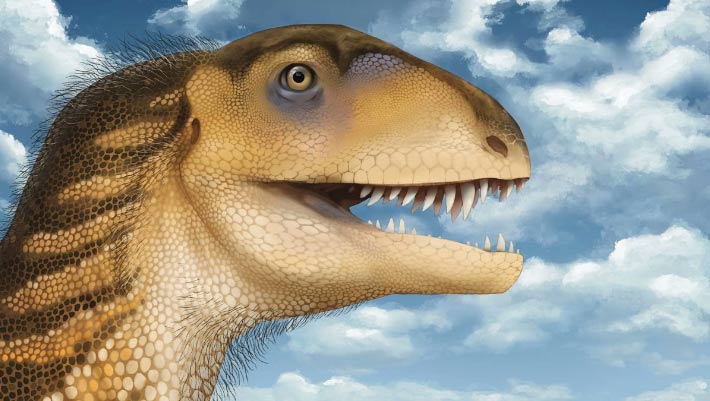 New Triassic Dinosaur Species Identified in New Mexico