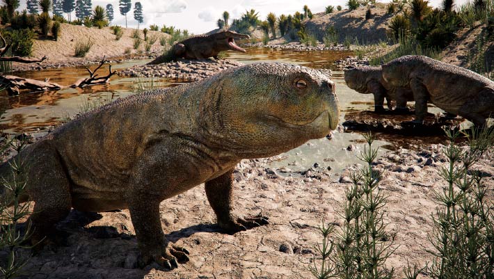 New Fossil from Brazil Reveals Unexpected Diversity among Pre-Dinosaur Herbivores