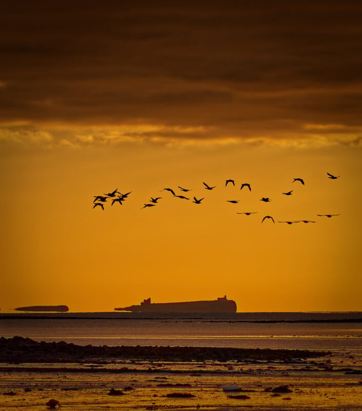 A flock of birds flies across an orange sky at sunset over the sea, with dark silhouettes of distant islands and calm water in the foreground.