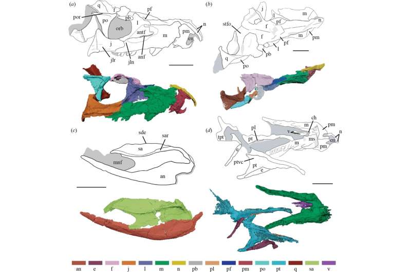 Introducing A New Preh 1