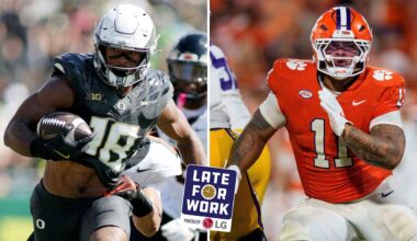 Baltimore Ravens logo