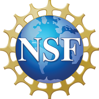 NSF TechAccess: AI-Ready America Q&A Webinar | NSF