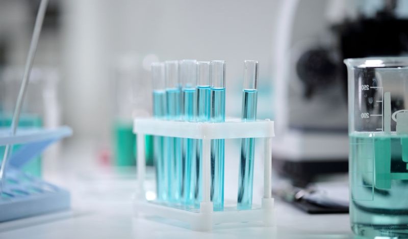 The Regulatory Review