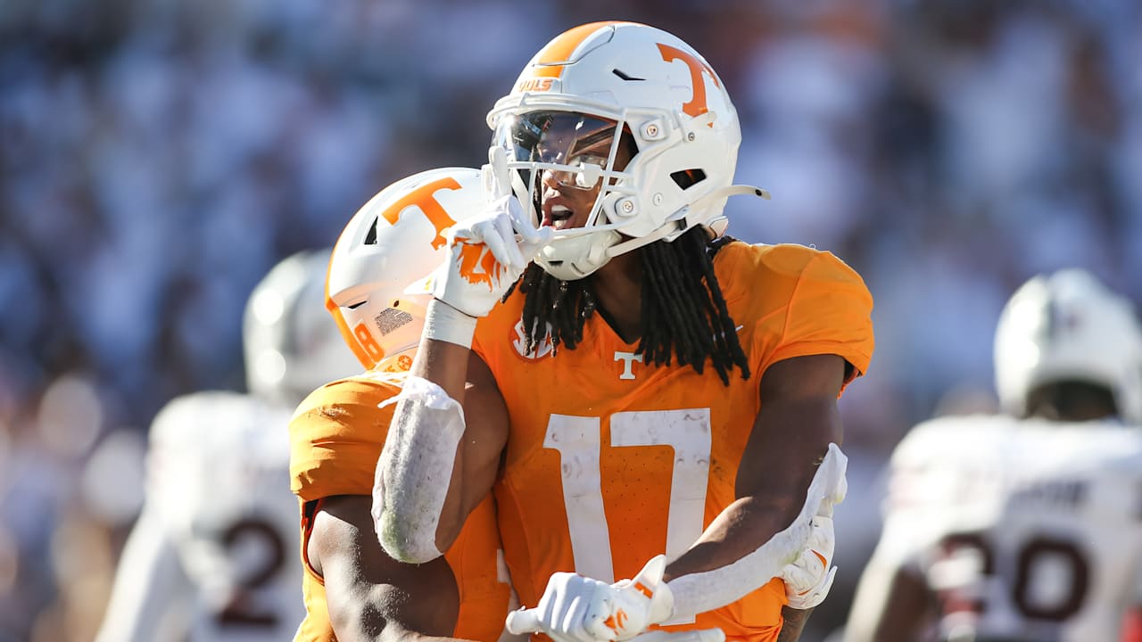 Carolina Panthers logo