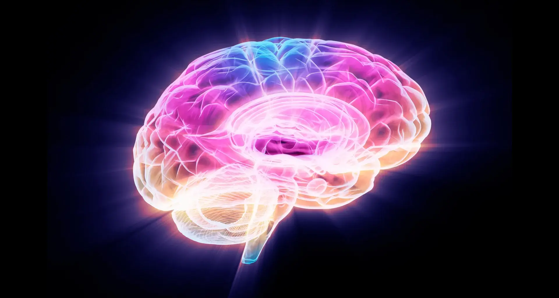 Scientists found a protein that drives brain aging — and how to stop it