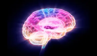 Scientists found a protein that drives brain aging — and how to stop it