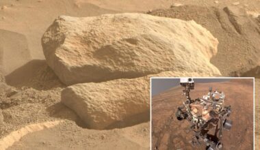 NASA's Perseverance sees rock resembling prehistoric animal skull on Mars