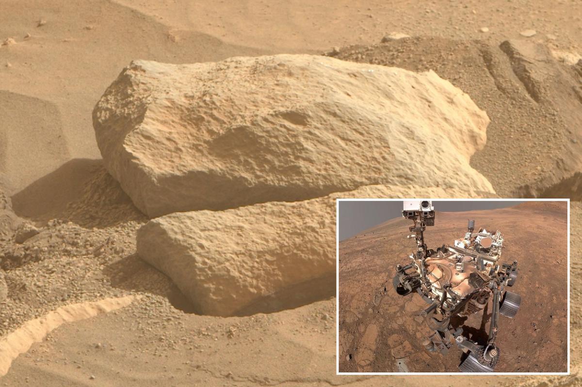 NASA's Perseverance sees rock resembling prehistoric animal skull on Mars