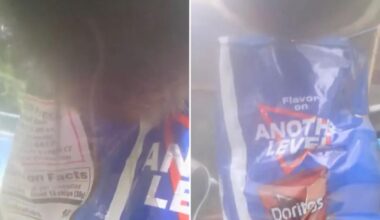 Sneaky bear snatches bag of Doritos left outside CT home, video shows