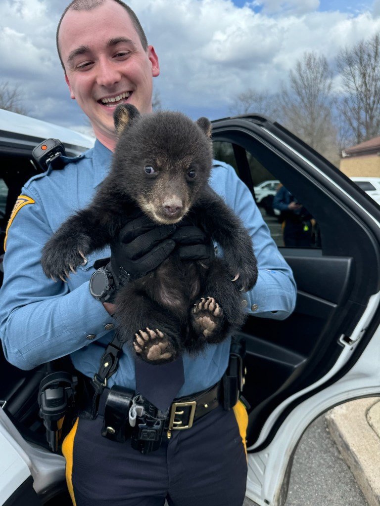 A police officer holding a bear cub.