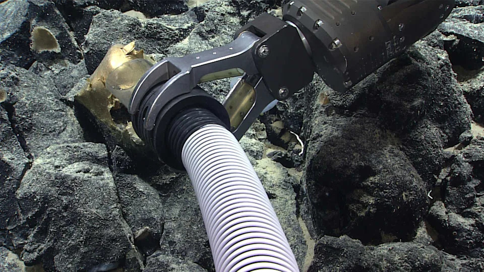 A suction sampler with a white hose is shown underwater at a golden orb against a background of rocks.