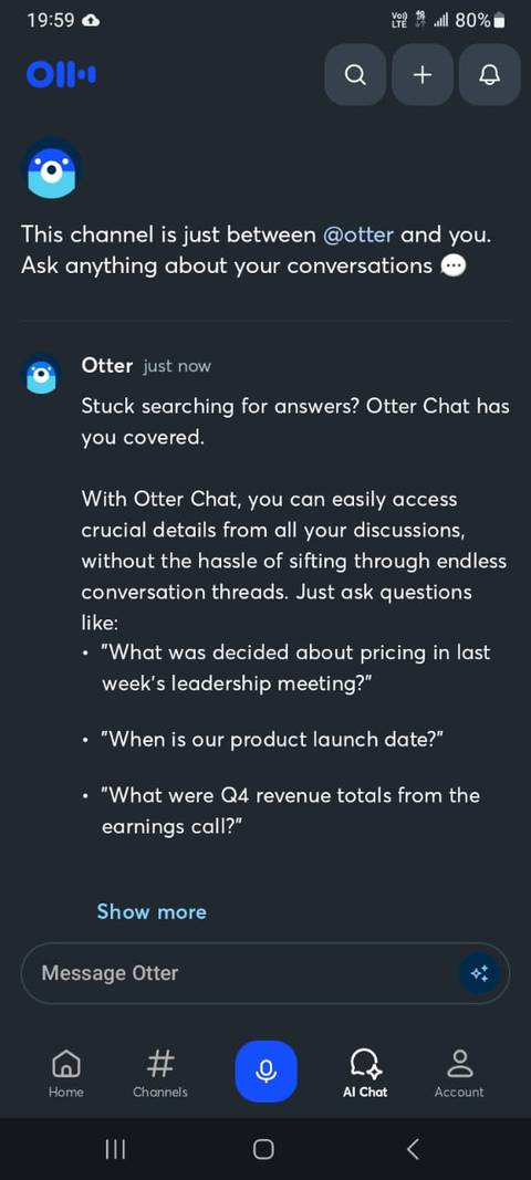 Otter AI Chat interface
