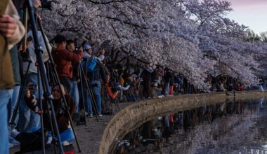 There’s a key problem with viral photo locations, and this cherry blossom photo illustrates that problem perfectly!