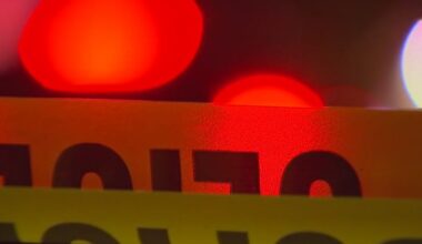 23-year-old charged with fraud after Senoia car break-ins