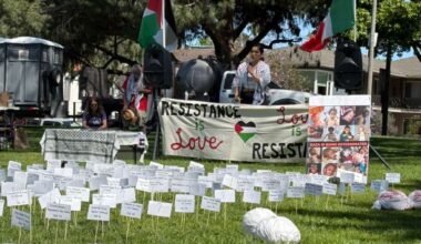 Reflections and perspectives after the No Kings Day in the United States